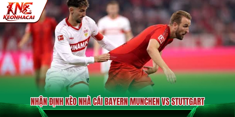 Tỷ lệ cược và soi kèo chuẩn xác Bayern München vs Stuttgart 